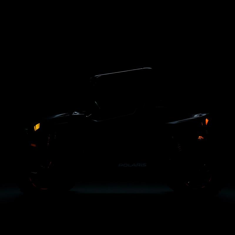 Polaris RZR